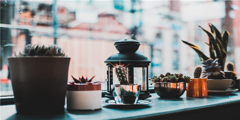 40岁女人梦见大蛇是什么征兆(梦见大黑蛇)