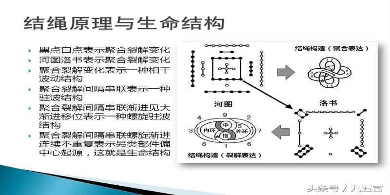 为什么女子怀孕被称为身怀六甲？河图洛书六甲胎教系列一