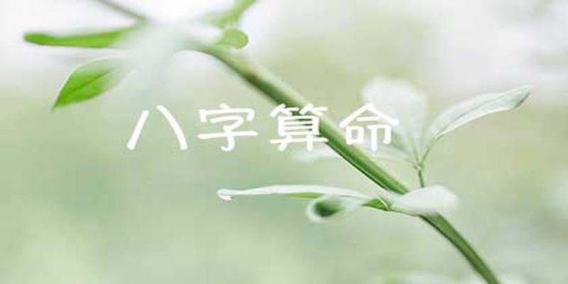 免费算命八字算终身,终身运势解析