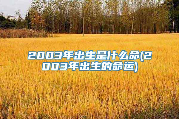 2003年出生是什么命(2003年出生的命运)