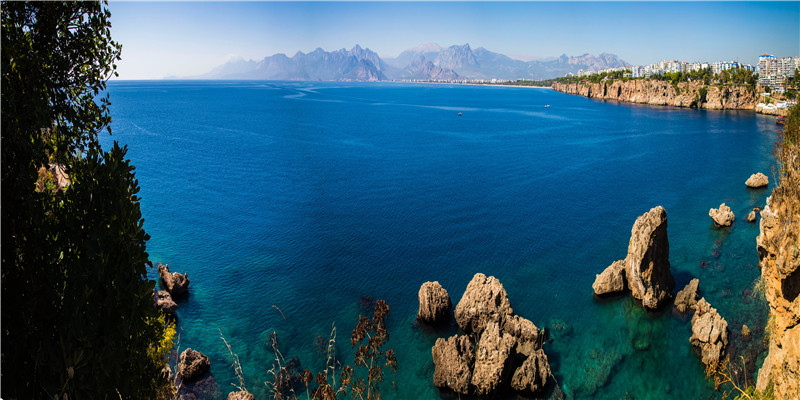 70年出生属性(70年属狗是什么命)