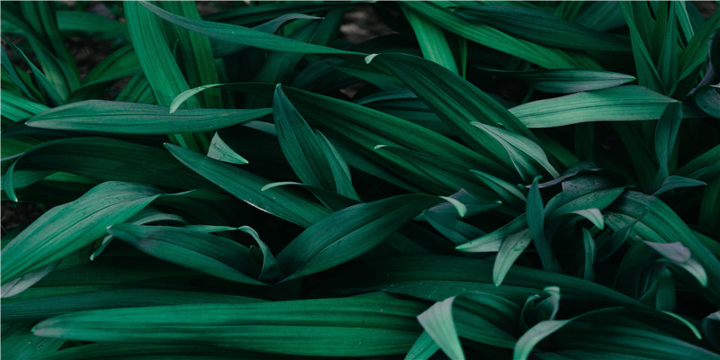 还原度超高的十部传记电影，你觉得哪部表演的最成功？