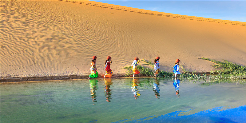 71年属猪的命中再婚(71年属猪的今年运程怎么样)