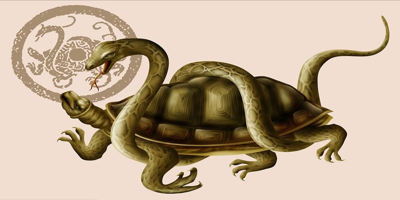 我国古代传说四灵兽,最初代表四个方位,并非道教传说的那样