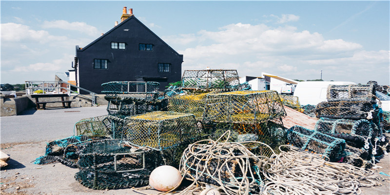 80年属猴二次婚姻在几岁(当时年少爱李白)