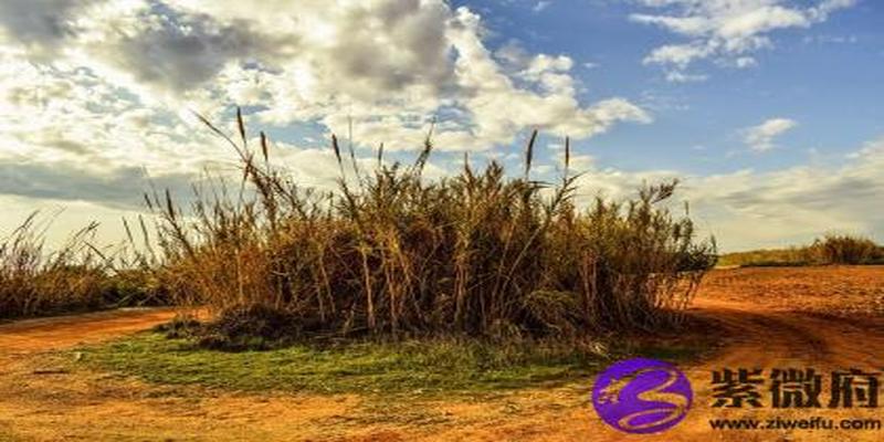 大海水和大海水配吗 大海水和大海水婚姻如何？