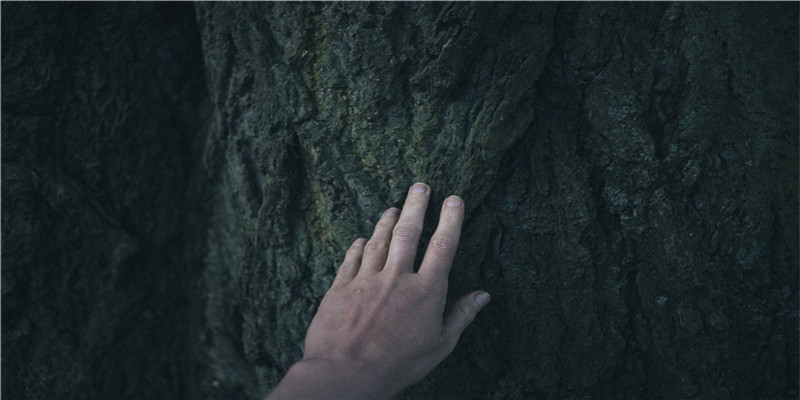 53年属什么今年多大(55年属什么今年多大)