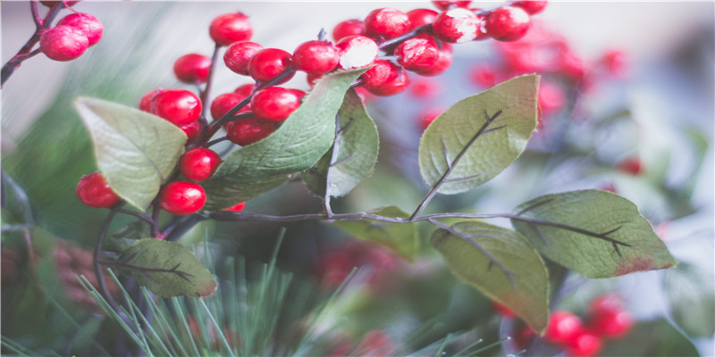 本身不会游泳的梦见自己会游泳了(梦见奥运会)