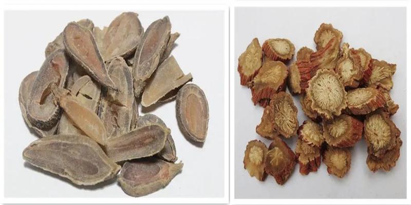 国医大师吕景山:治疗脾胃病用药经验