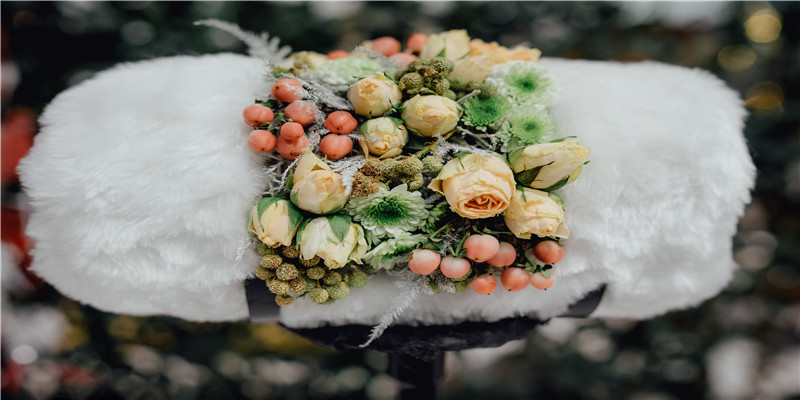 梦到地里到处都是瓜(新西兰奇异果产地在哪里)