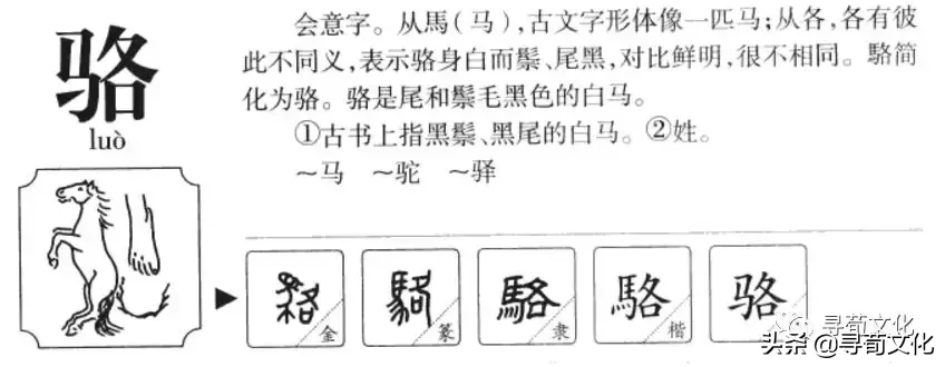 骆姓氏的汉字演变和家族来源过程荀卿庠整理