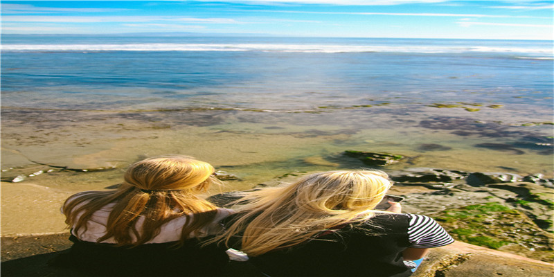 2012年兔年运程(在新加坡不知道明年生肖运势)