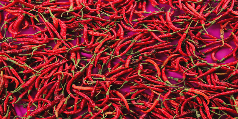 73年属牛人2021年运势(72年属鼠的2021年运势)