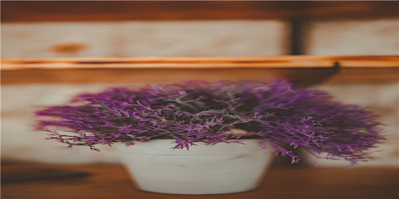 如何用脑科学的方式打开传统骨相学?