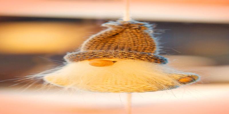 95年男猪和97年女牛八字合吗(风生水起的2017)