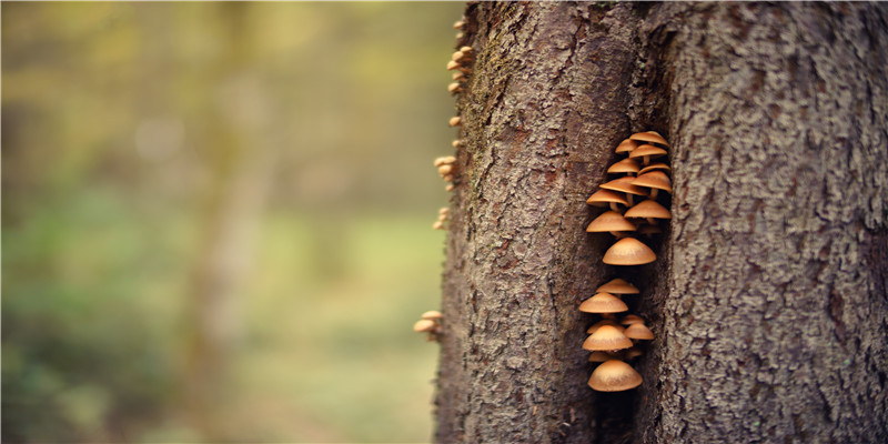 学习面相真人图解  不急于求成，打好基础。下苦功夫记、背、 练