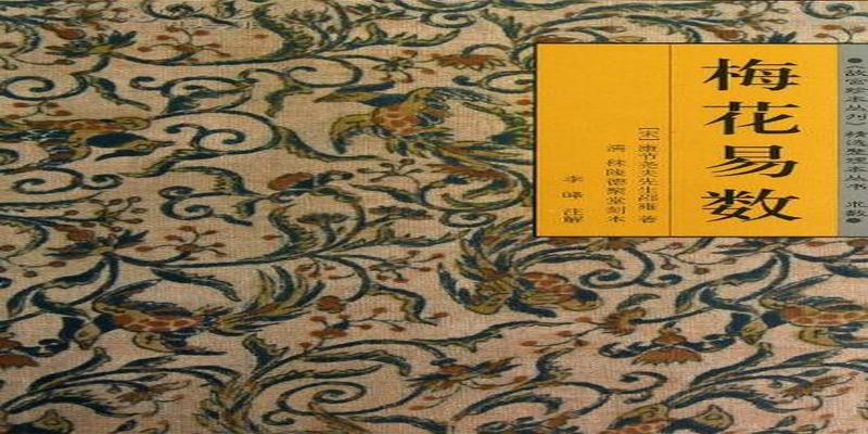 梅花易数对应数字(梅花易数的神奇魅力)