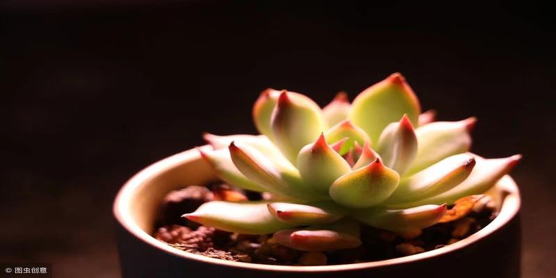 为什么会看不懂《易经》?