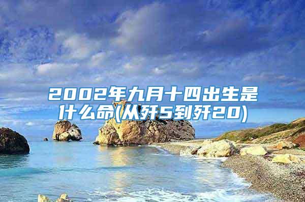 2002年九月十四出生是什么命(从歼5到歼20)