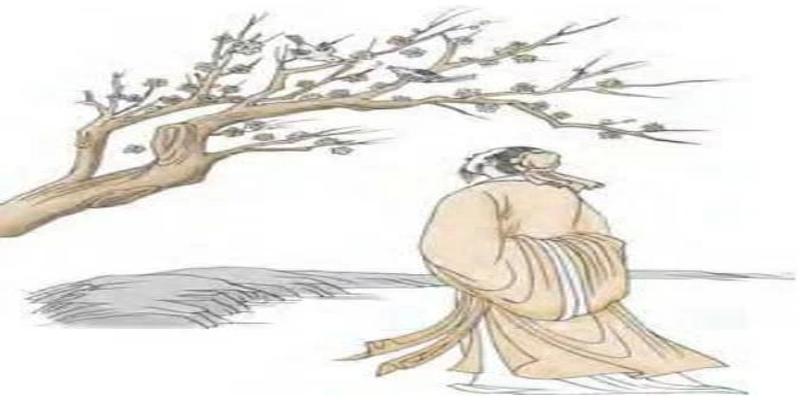 梅花易数类象(认识易数的方便法门)