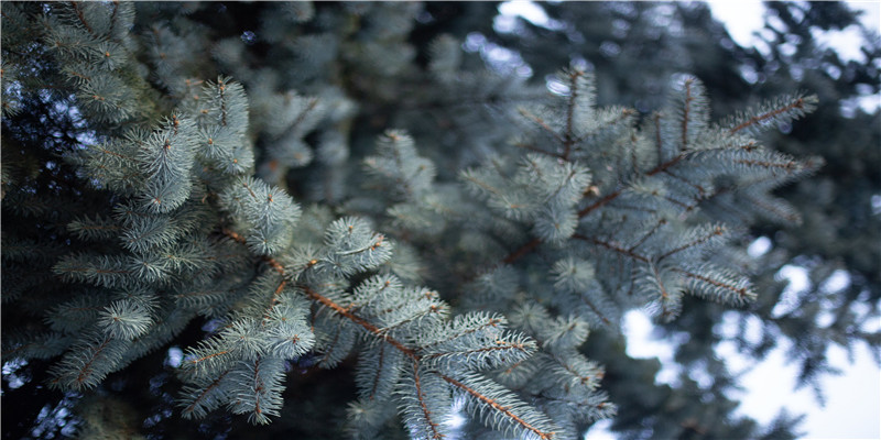 娱乐圈女星最具旺夫相的10张脸