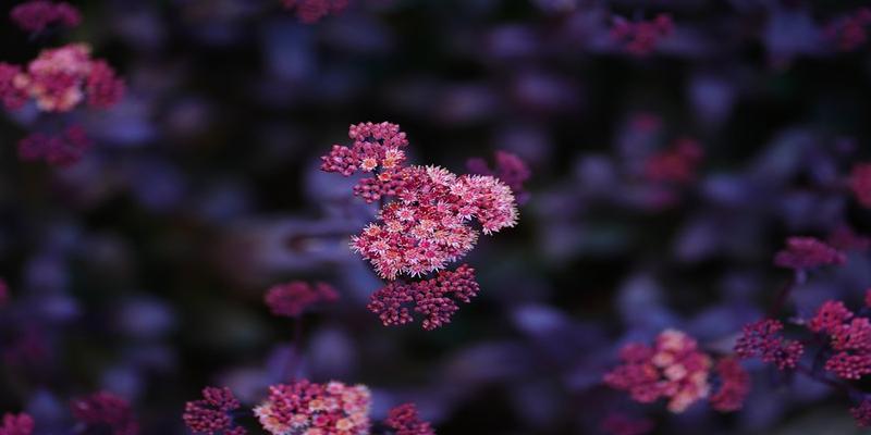 2021年流年运势分析免费算命(2021下半年12星座运势)