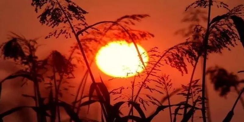 这10个耳熟能详的成语，均出自《易经》，读懂了受益无穷