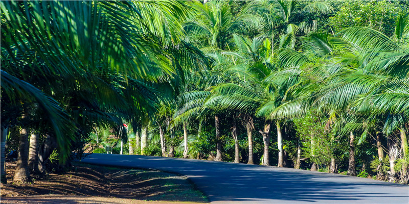 分手前深情款款,分手后撕破脸,这些明星,有人甚至闹到惊动警方