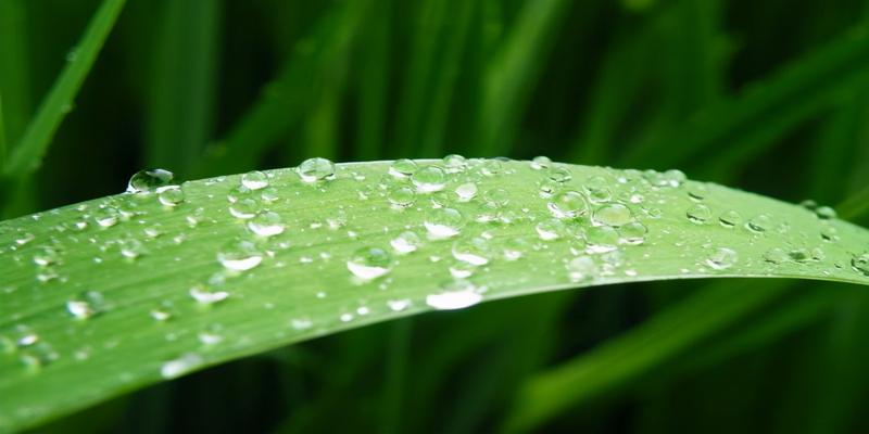 史上悲凉凄苦的雨，淅淅沥沥绵延了7百多年，成为千古绝响