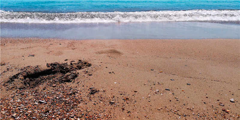 孙海洋的孩子决定回家！“14年的噩梦，终于醒了”