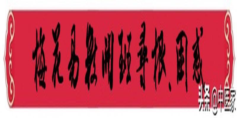 梅花易数精解(道家梅花易数)