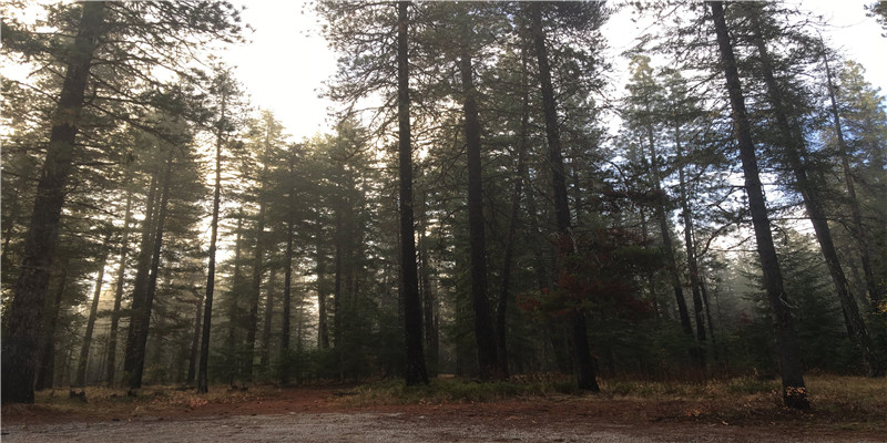 一个簸箕九个斗,不干也能有,真的吗?