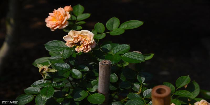 八字命理断事技巧,一看八字就能断准的秘诀,不外传的算命方法