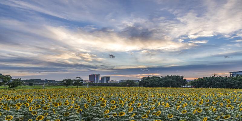 遭受打击被人抹黑,谁不痛苦?易经这几个卦告诉你,出路何在