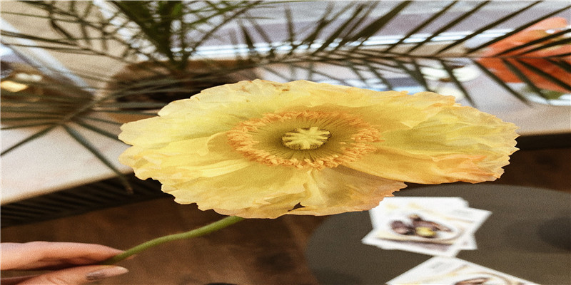 必定有大出息的手相(手相川字纹图解)