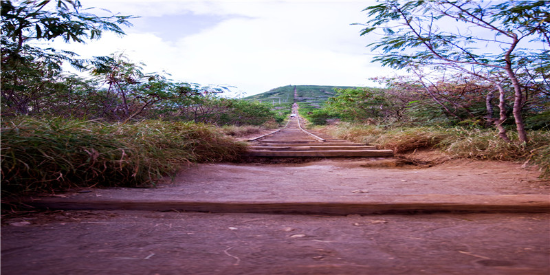 内宅第一古装美人内卷至此，金晨白鹿们也是拼了