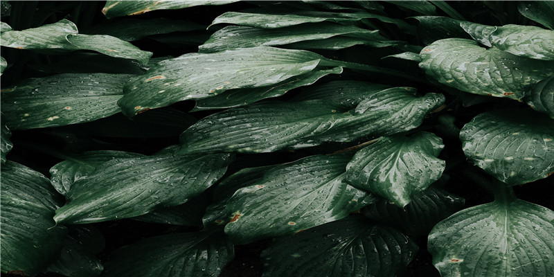 大气的好听含九字名字(9字的含义)