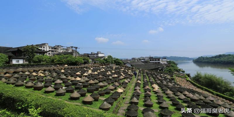 百年酱园太和号（晓晗）