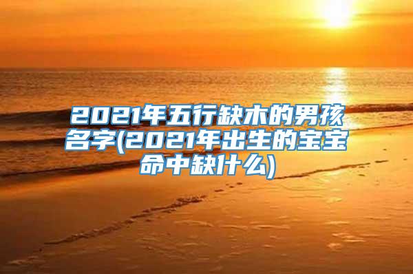 2021年五行缺木的男孩名字(2021年出生的宝宝命中缺什么)