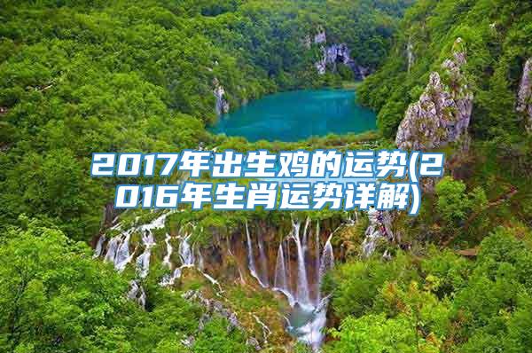 2017年出生鸡的运势(2016年生肖运势详解)