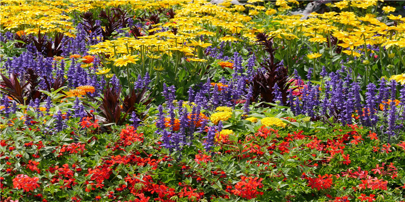 从体相来看身材胖好还是瘦好(越胖运势越好的命理)