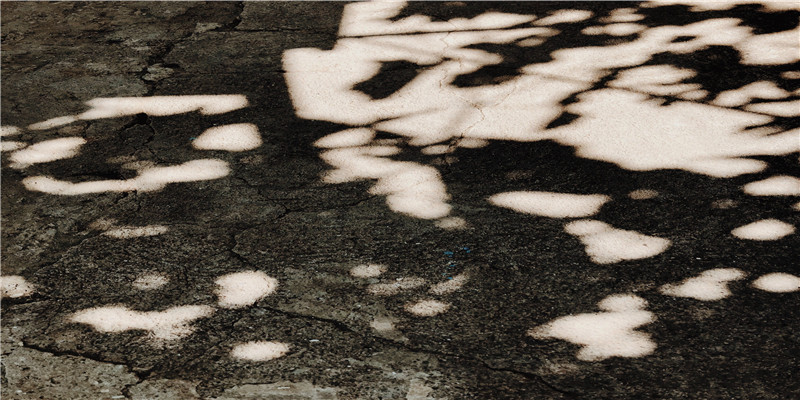 51年属兔是什么命(属兔人在2018戊戌狗年的运势解析)