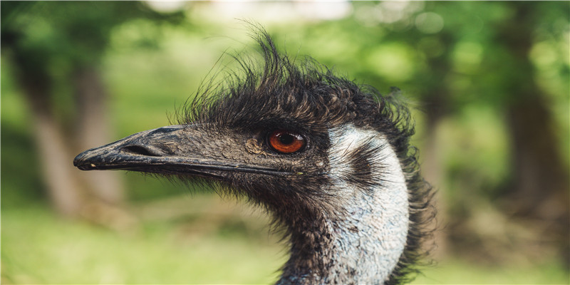 贵圈男星眉毛大赏！三角形这位是我的年度笑点