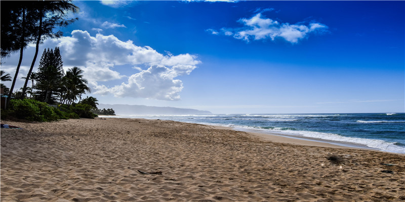 池子正式退网:从爆红到非议缠身,他经历了什么?