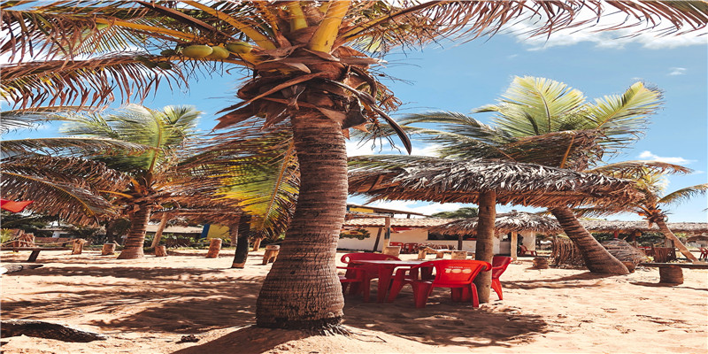 黑痣是善痣吗 黑痣是善痣吗