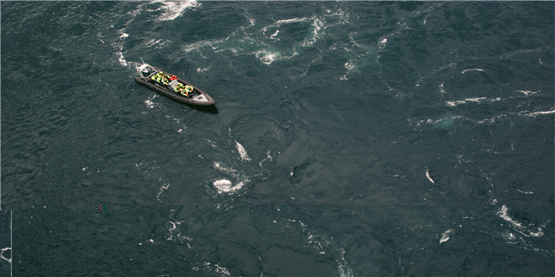 2021年12生肖每月运势解析完整版(生肖虎2021年运势)