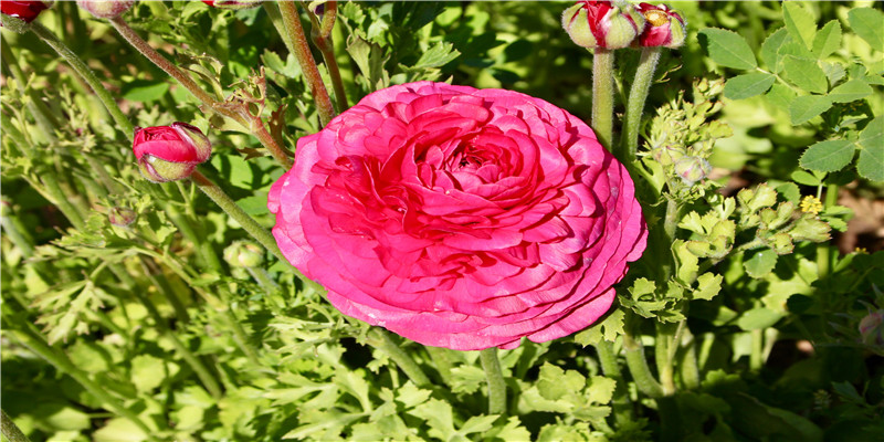 分手前深情款款,分手后撕破脸,这些明星,有人甚至闹到惊动警方