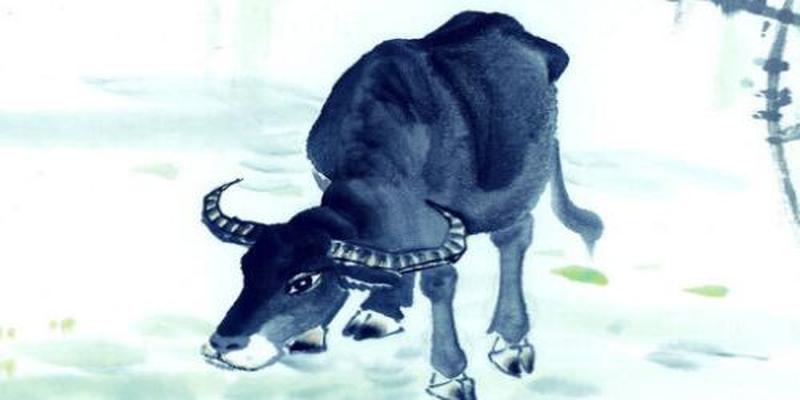 63年属兔人今日财运方位(十二生肖6月22日今日运势排名)