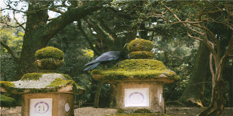 用脚步丈量世界，用旅行探索自我——2021上半年我的行摄回顾