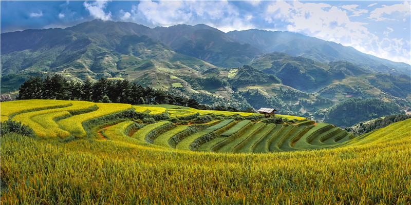 带伊字的女孩名字(伊字组词女孩名字)